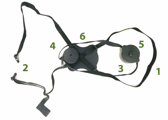 Yoyolino SP, a robust and lightweight construction for all types of dogs