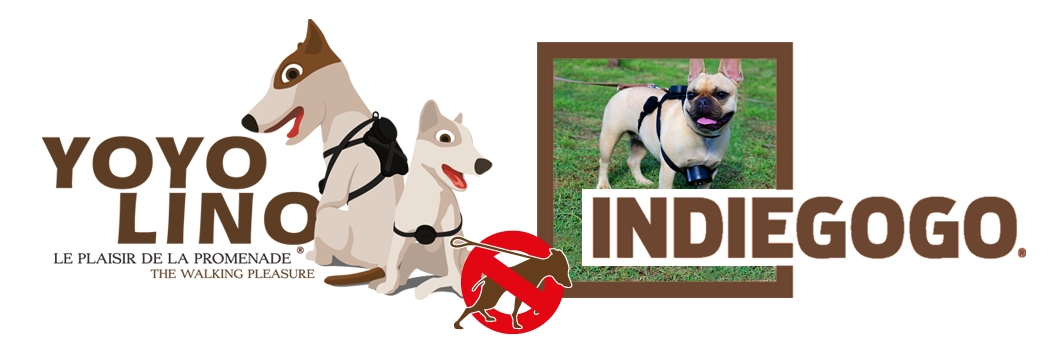 Yoyolino: a pain-free, no-pull harness for dogs of all sizes