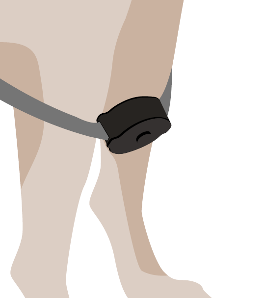 The large dog harness reel is adjustable at any time