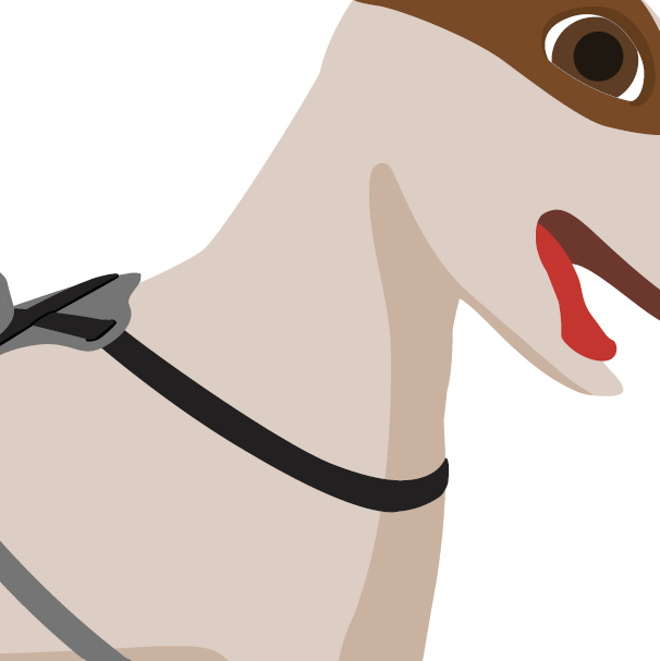 The front strap of the Yoyolino SP dog harness is adjusted before installation